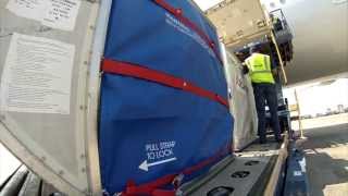 Behind the Scenes AmericanAir  AA Cargo [upl. by Secrest]