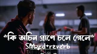 কি অচিন প্রানে চলে গেলে  Jane Re Khuda Jane Lofi Slowed Andreverb F A Sumon [upl. by Hughes]