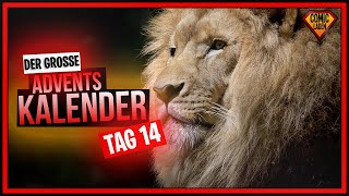 Der große COMIC LADEN ADVENTSKALENDER 2019 – Lioncast LX60 [upl. by Elder]