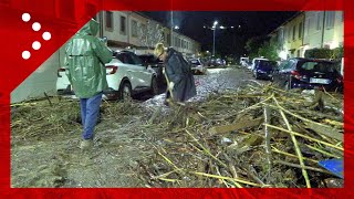 Alluvione a Prato distesa di tronchi per le strade ciò che resta dopo lesondazione [upl. by Levey]