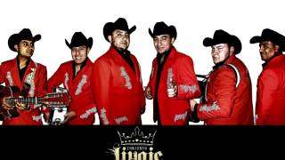 Conjunto Linaje Norteño  Provocame [upl. by Neruat]