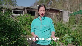 Kom til Dyreparken i påsken  Dyreparken [upl. by Yevette]