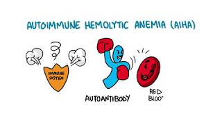 Autoimmune Hemolytic Anemia [upl. by Sid]