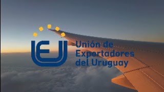 ¡Sumate a nuestra comunidad exportadora  Testimonios de nuestras empresas socias [upl. by Ifok699]