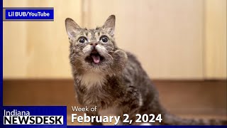 Lil BUB’s legacy lives on in Bloomington [upl. by Eduam]