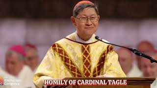 HOMILY OF CARDINAL TAGLE  NAIONAL EUCHARISTIC CONGRESS [upl. by Ateikan]