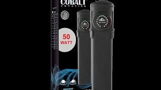 Cobalt Aquatics Neo Therm Heater Review [upl. by Colene]