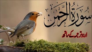 SURAH RAHMAN TARJUMA KE SATH QARI AL SHAIKH ABDUL BASIT ABDUL SAMAD  Ep 013 [upl. by Oinotna445]