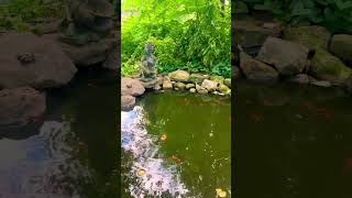 Quick morning breathing exercise for anxiety calm zen meditation [upl. by Aix]