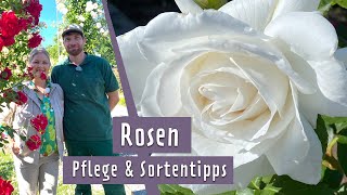 Rosen Pflegeempfehlungen und Sortentipps  MDR Garten [upl. by Iblehs]