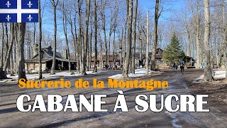 MA PREMIÈRE CABANE À SUCRE AU QUÉBEC PVT CANADA [upl. by Nyraa]