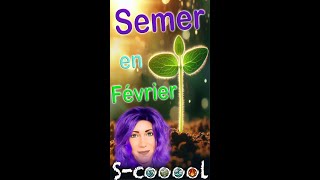 Semer en février 👩‍🌾 plantation semis lune graines fevrier2024 [upl. by Ailey726]