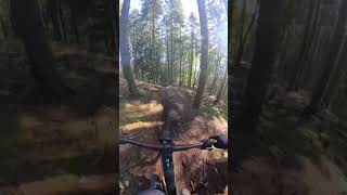 MTB Trail  Einflugschneise  Upper [upl. by Searcy]