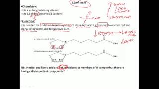 biochemistry vitamins inositol amp lipoic acid فيتامين بايوكيميستري [upl. by Nahtiek]