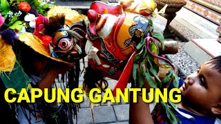 BARONG BANGKUNG CAPUNG GANTUNG [upl. by Nyrb672]