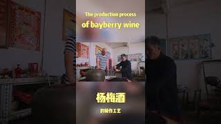 The production process of bayberry wine [upl. by Lyrradal]