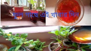 গাছের যত্নে পেয়াজের খোসার গুনাগুন🥰videogarden [upl. by Ailecnarf]