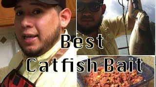 Best Catfish Bait Recipe with DJ MOE [upl. by Adlesirc]