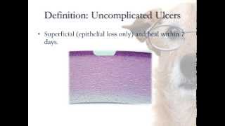 Classification of Corneal Ulcers [upl. by Ulrica]