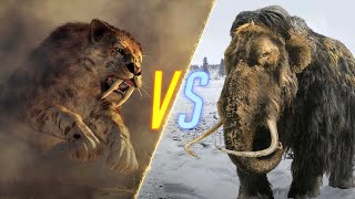 Saber Toothed tiger और Barbary Lion में कौन है ज़्यादा शक्तिशाली  Saber Tooth Tiger vs Barbary Lion [upl. by Harden]