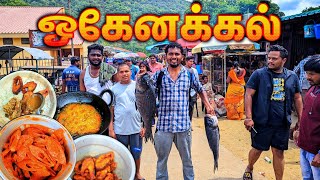 🔥ஒகேனக்கல் கொண்டாட்டம்  ஒகேனக்கல் அருவி  HOGENAKKAL FALLS  FISH FRY  FISH RECIPE KARNATAKA  K7 [upl. by Wanda370]