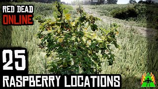 Red Dead Redemption 2 Online  RASPBERRY LOCATIONS [upl. by Tab912]