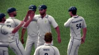 Don Bradman Cricket 14 Career Mode Record Run Chase Part 2 YouTube [upl. by Riatsila]