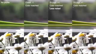 Sony a6300 test SLog2 vs SLog3 vs Gamma Cine4 [upl. by Reivax581]