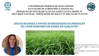 Efeito de doses e fontes nitrogenadas na produção de capimMarandu em Barra do Garças  MT 🌾ufmt [upl. by Shelia]