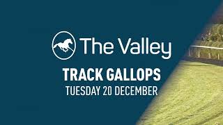 The Valley Track Gallops  Tuesday 20 December [upl. by Euqram]