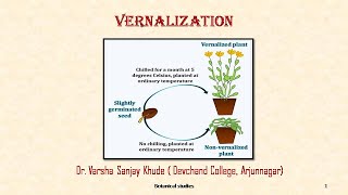 Vernalization  Dr Varsha S Khude  Botanical Studies [upl. by Lenod883]