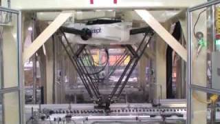 High Speed OMRON Adept Quattro Robots Used in Chocolate Manufacturing [upl. by Einnov]