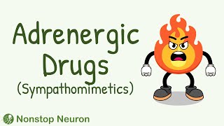 Sympathomimetics Adrenergic Agonists—Epinephrine Norepinephrine  Alpha amp Beta Receptors [upl. by Fotinas]