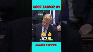 Raynor’s Exposed Labour Critique The Left’s Last Stand [upl. by Clari617]