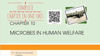 Microbes in human welfare NCERT One shot for NEET [upl. by Ieso]