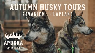 Autumn Husky Tours at Apukka Resort Not Just Winter Fun [upl. by Nelg]