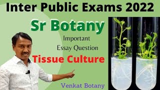 Tissue Culture Technique  Sr Botany Important Questions Venkat Botany [upl. by Hansiain422]