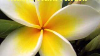 Maine Kuki Airani Curly George COOK ISLAND MUSIC [upl. by Gebhardt295]