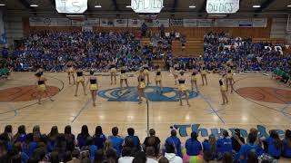 RHS 2018 Sadies Rally and Dance Team Performance [upl. by Gemma]