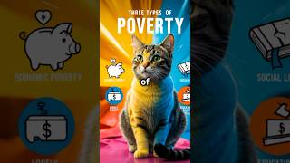 3 Types of Poverty [upl. by Erodoeht]