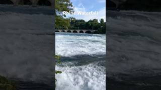 “Rhine Falls Europe’s Largest and Most Powerful Waterfall” shorts shortsvideo waterfall [upl. by Nerhe611]