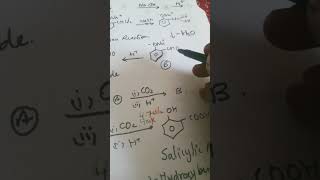 convert Phenol into asalicylaldehyde bSalicylic Acid Sequence Rxn Veena Dixit Chemistry IIT jee [upl. by Faxun]