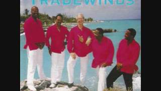 THE TRADEWINDS  Caribbean Man [upl. by Maia67]