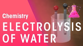 Electrolysis of Water amp Hydrochloric Acid  Reactions  Chemistry  FuseSchool [upl. by Airenahs124]