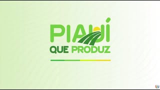 Piauí que Produz  08 de setembro de 2024 [upl. by Gnilhsa858]