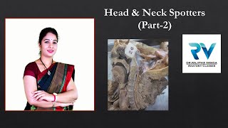 Head and Neck Spotters Part2 by Dr Rajitha Vanga [upl. by Stegman]