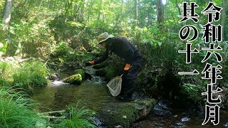 夏だ！！カジカの穴釣り唐揚げです。くくり罠の仕掛け場所を移動しました [upl. by Huan]