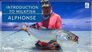 Introduction to Milkfish [upl. by Ynhoj904]