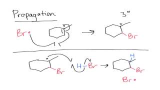 Anti Markovnikov Addition to Alkenes [upl. by Nosiaj]