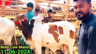 Too Fast 😱 Purchasing In Malir Cow Mandi 11062024  Karachi Cattle Updates  Cow Mandi 2024 [upl. by Darnok]